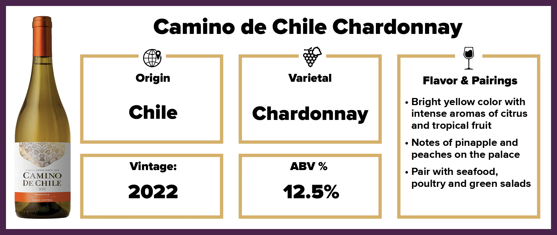 Camino de Chile Chardonnay 2022 - Image 2