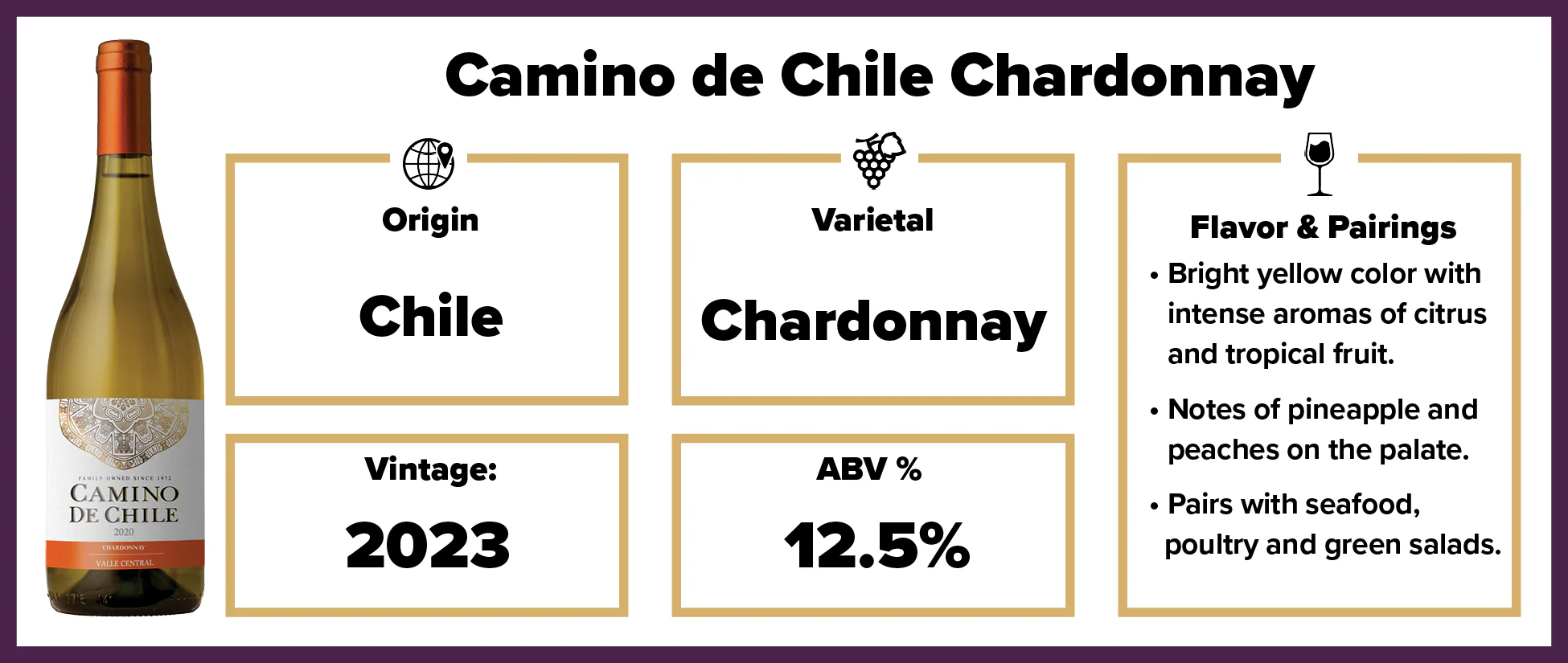 Camino de Chile Chardonnay 2023 - Image 2