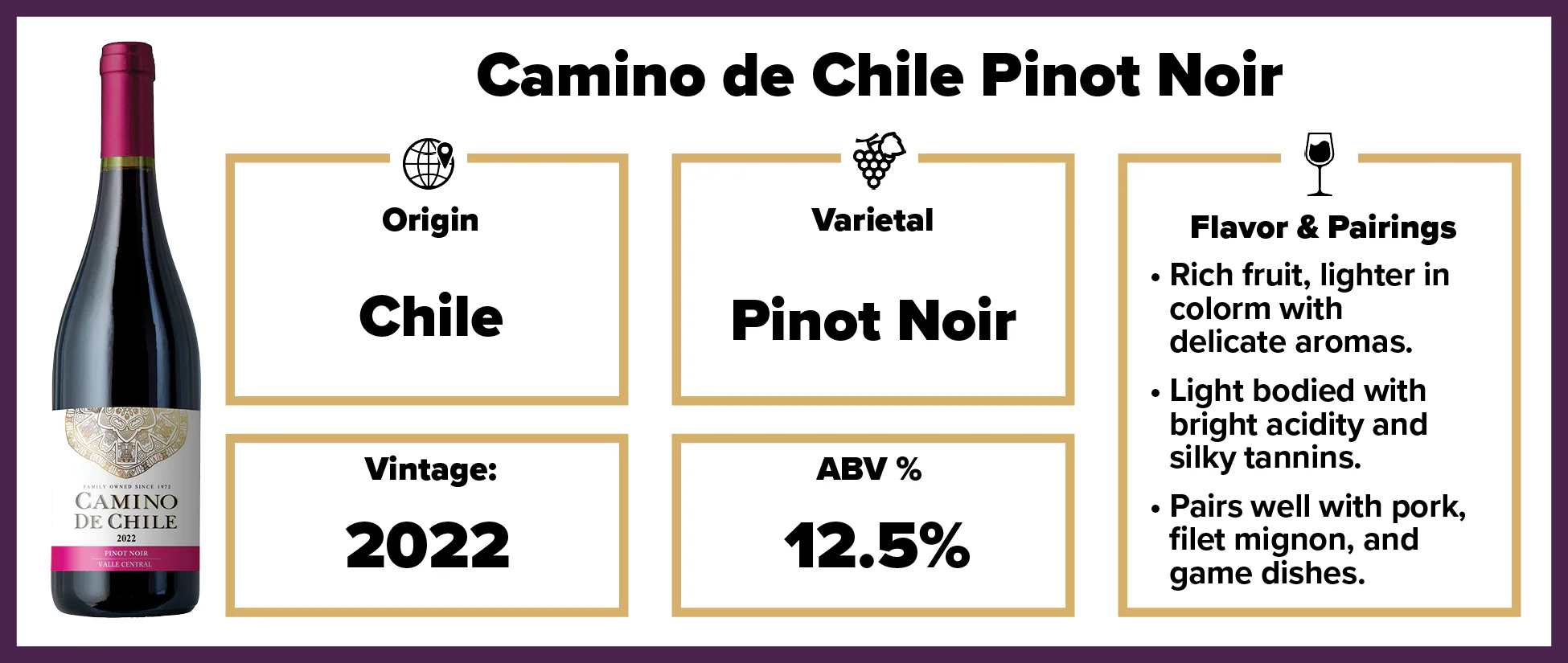 Camino de Chile Pinot Noir 2022 - Image 2