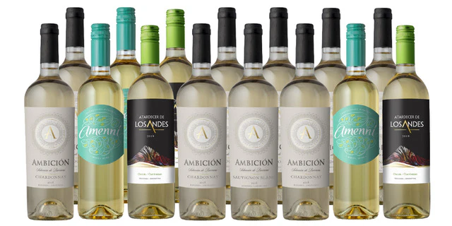 CELEBRATE: Argentinian Independence Day 15-Pack - Image 3