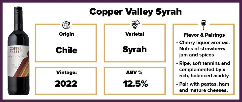Copper Valley Syrah 2022 - Image 2