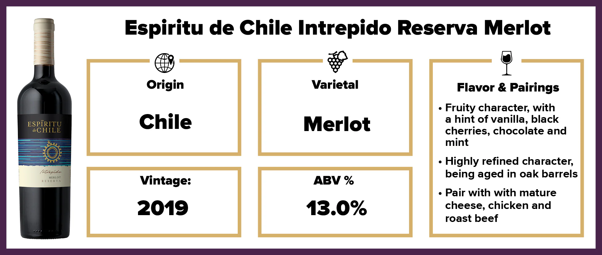 Espiritu de Chile Intrepido Reserva Merlot 2019 - Image 2