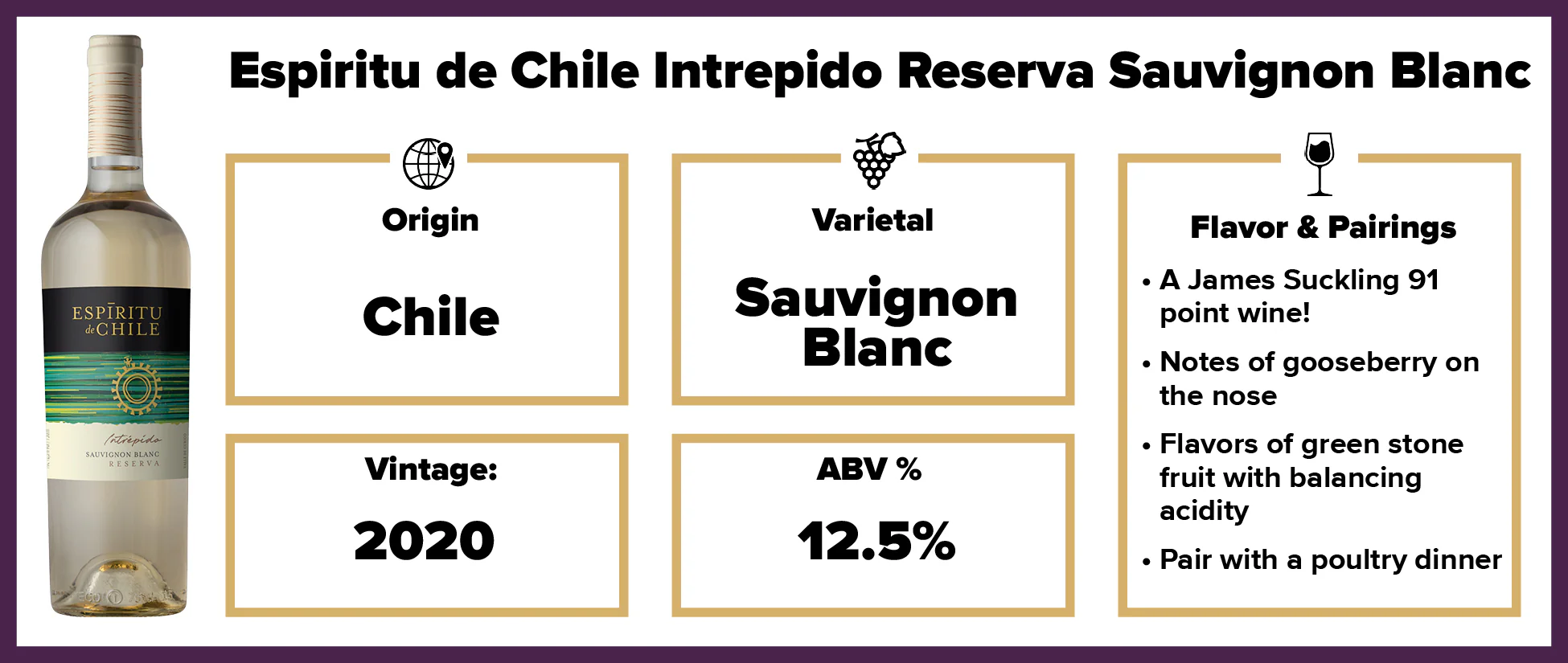 Espiritu de Chile Intrepido Reserva Sauvignon Blanc 2020 - Image 2
