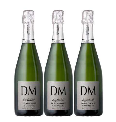 100 ONLY: Champagne Flash Special