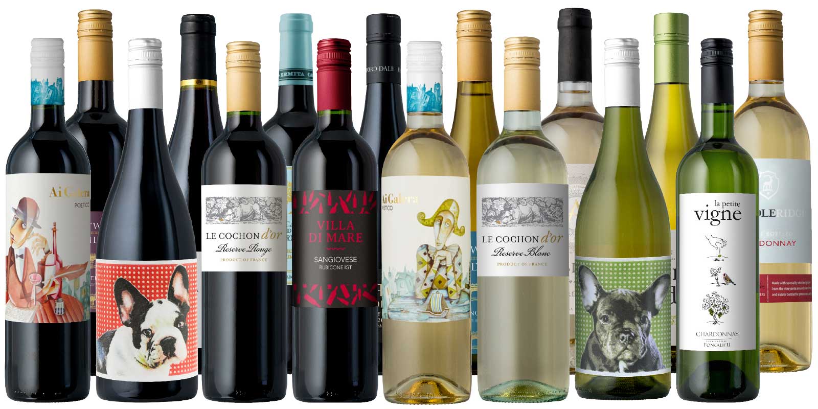 ONE DAY ONLY: The Sensational Top-Shelf 16-Pack AT COST