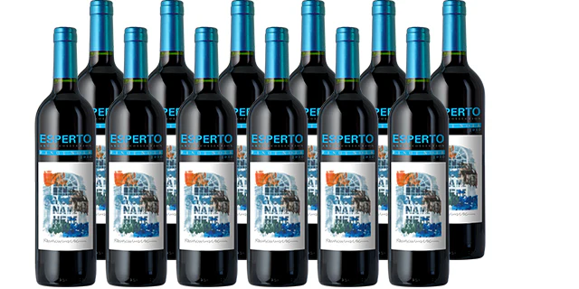 PINOT DAY SPECIAL: Esperto Pinot Noir 12-Pack