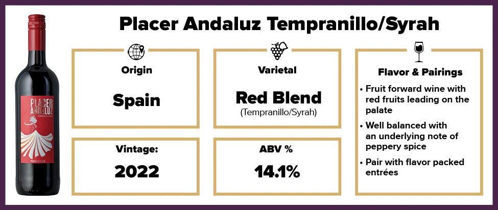 Placer Andaluz Tempranillo/Syrah 2022 - Image 2