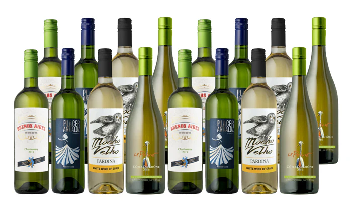 Splash Wines March Madness 16-Pack - Image 3