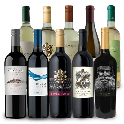Splash Wines of the Holiday Vineyard 15-Pack - White