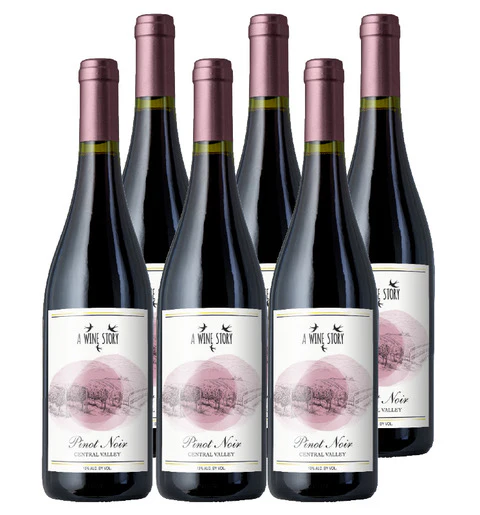 SPOTLIGHT: A Wine Story Pinot Noir Special - Image 2