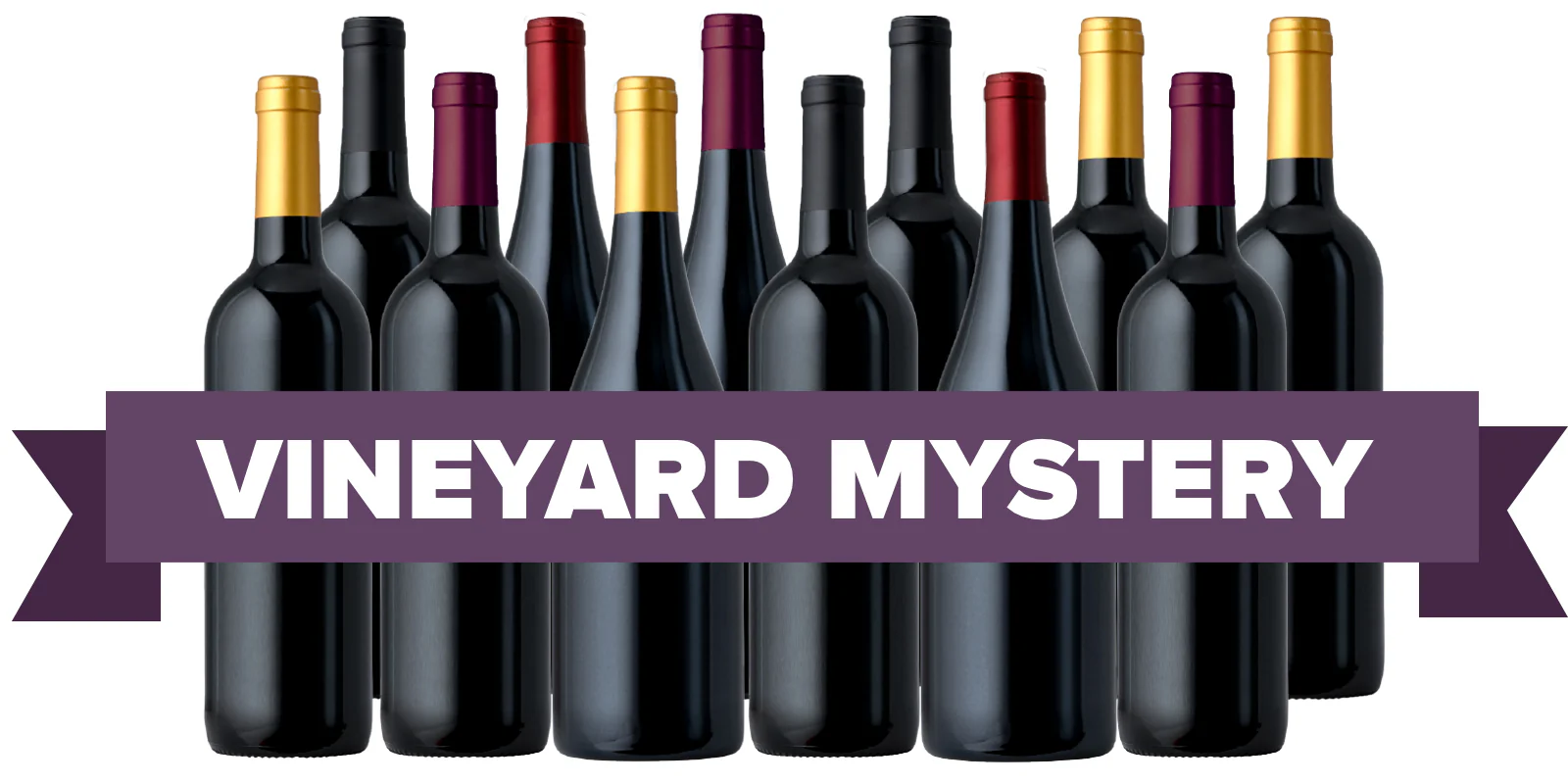 The Spooktacular Mystery Vineyard 12-Pack 2022 - Image 3