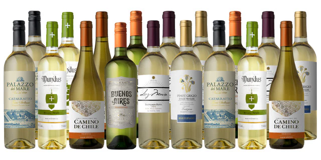 UPGRADE: We Want You Back Vineyard 18-Pack V - Image 3
