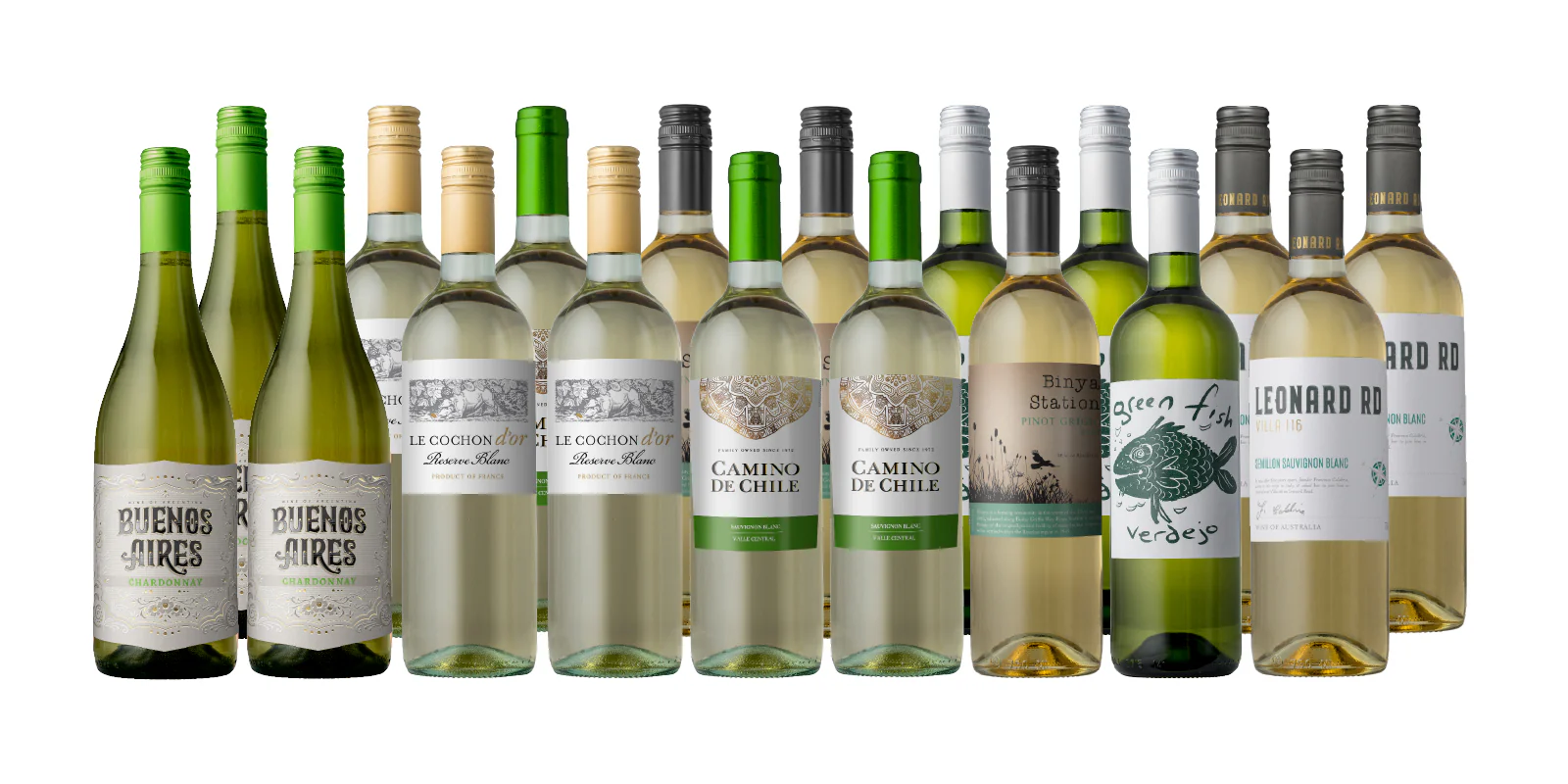 UPGRADE: We Want You Back Vineyard 18-Pack - Image 3