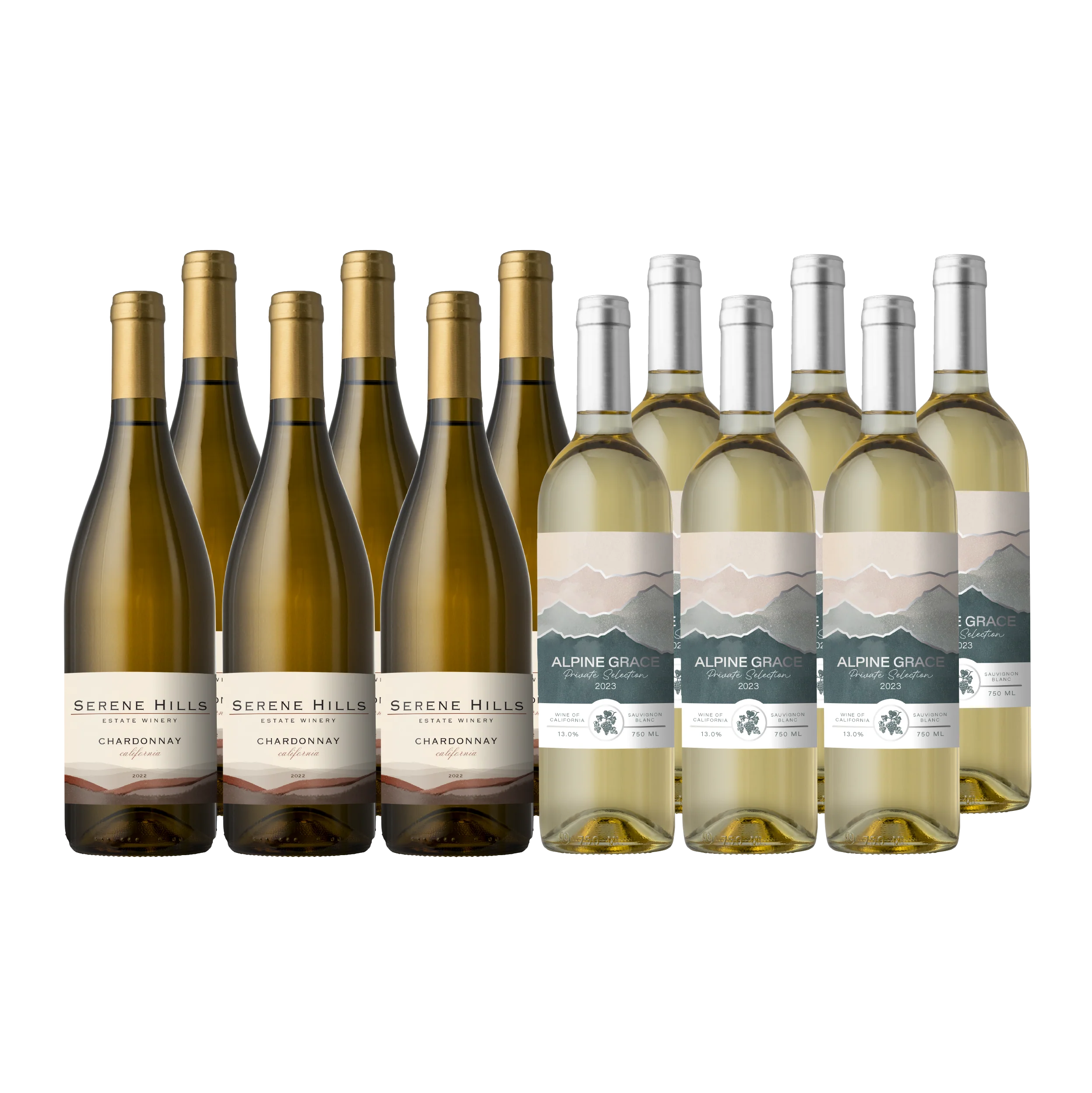 Vino Voyage Discovery Wine Set 12 Bottle All White